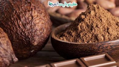 الكاكاو والكيتو: هل الكاكاو مسموح في الكيتو