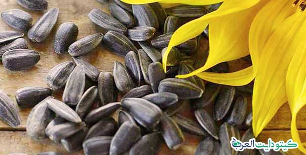  هل حب دوار الشمس مسموح في الكيتو